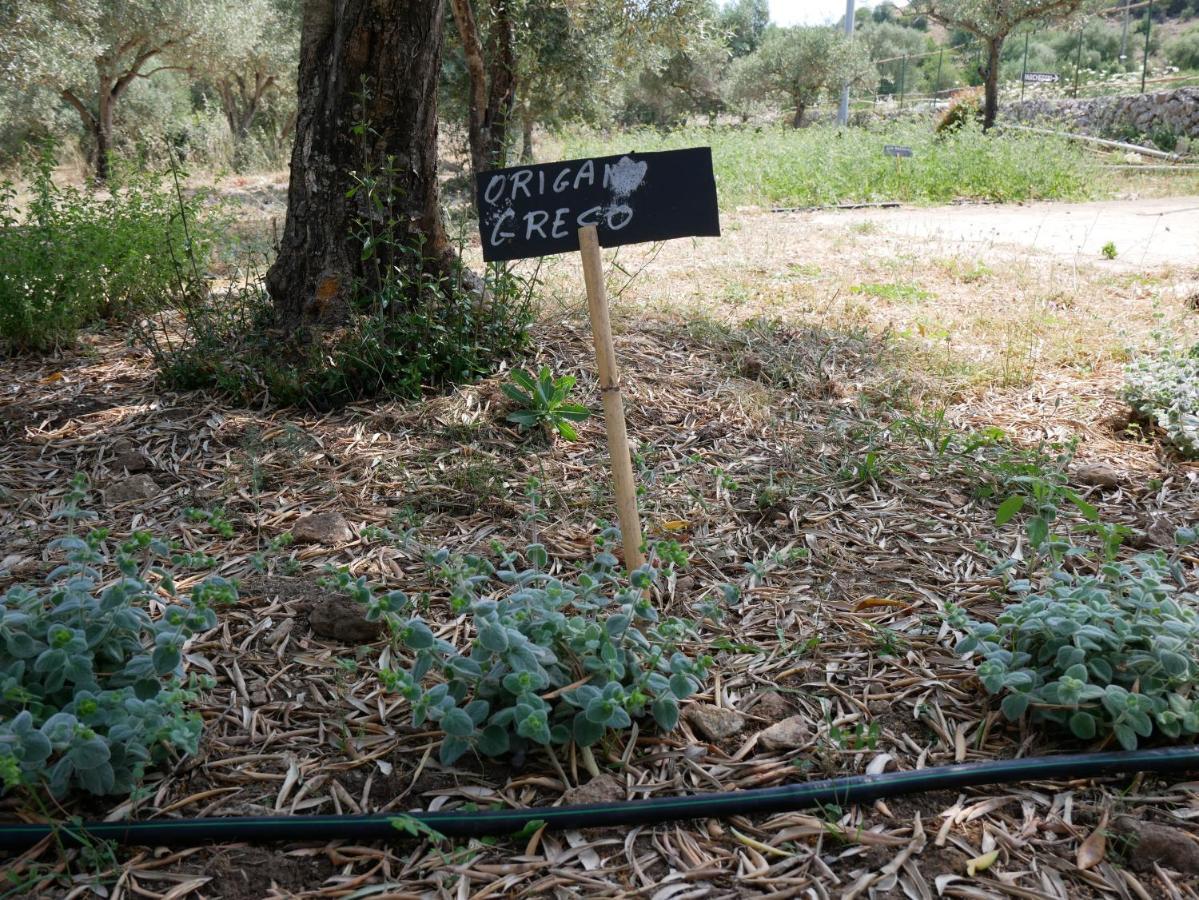 Вилла Pantalica Ranch Agriturismo Siciliano Sortino Экстерьер фото