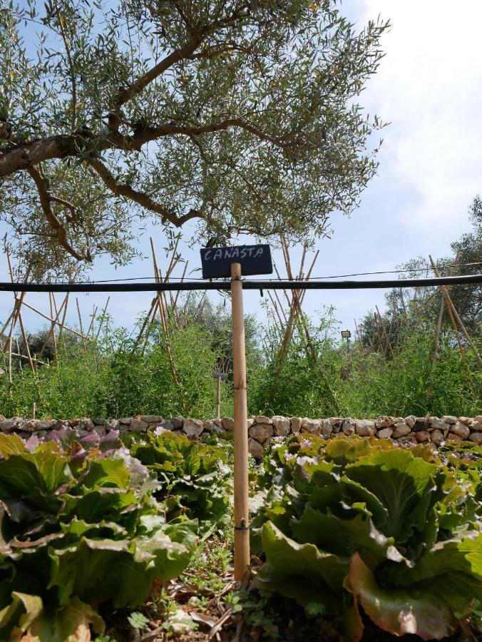 Вилла Pantalica Ranch Agriturismo Siciliano Sortino Экстерьер фото