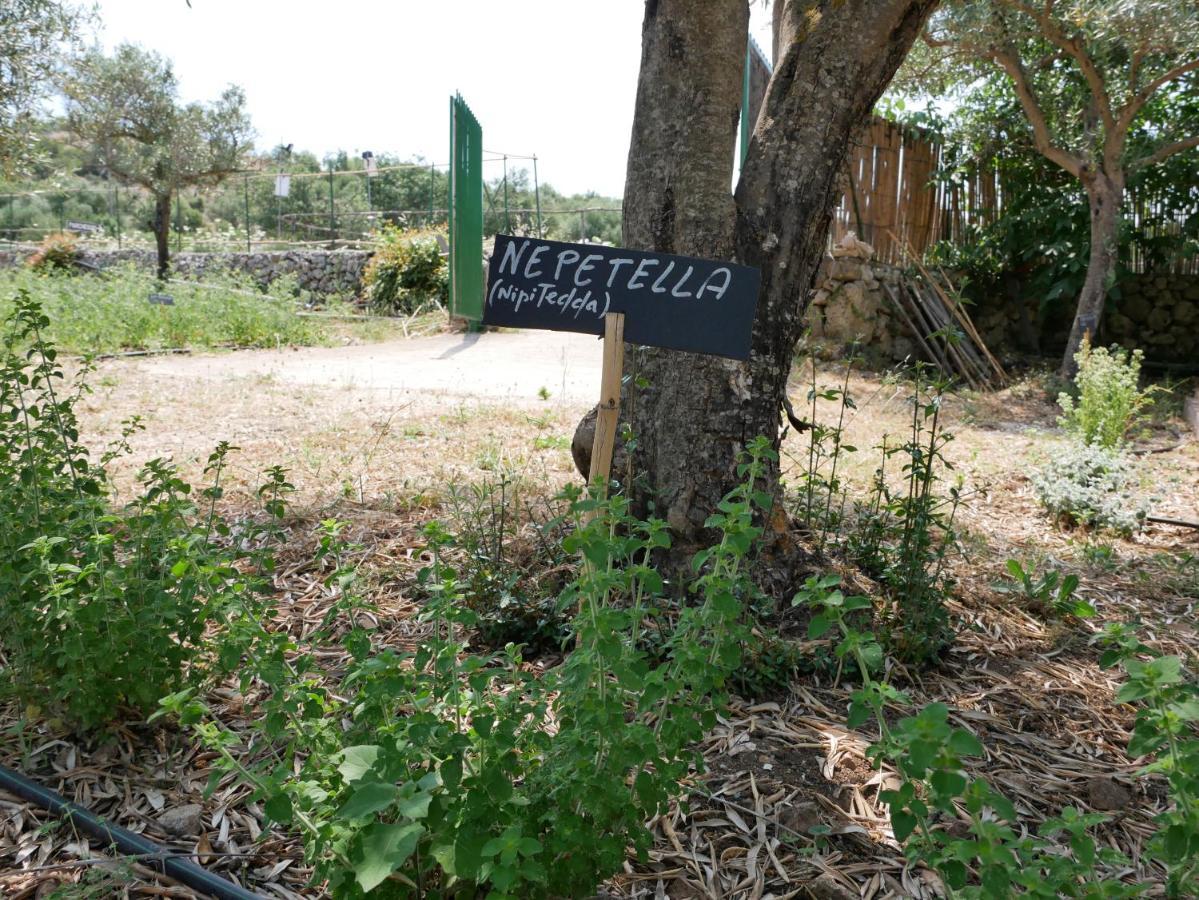 Вилла Pantalica Ranch Agriturismo Siciliano Sortino Экстерьер фото