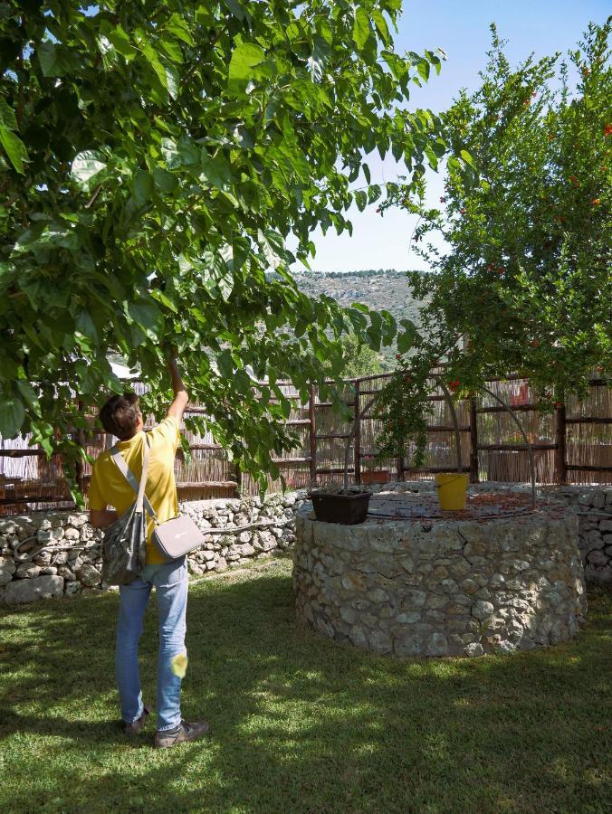 Вилла Pantalica Ranch Agriturismo Siciliano Sortino Экстерьер фото