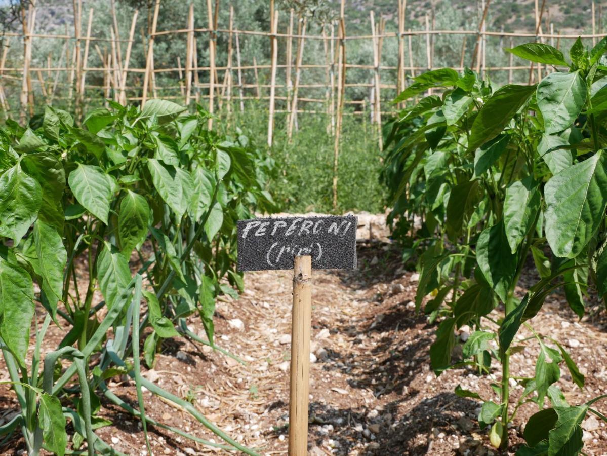 Вилла Pantalica Ranch Agriturismo Siciliano Sortino Экстерьер фото