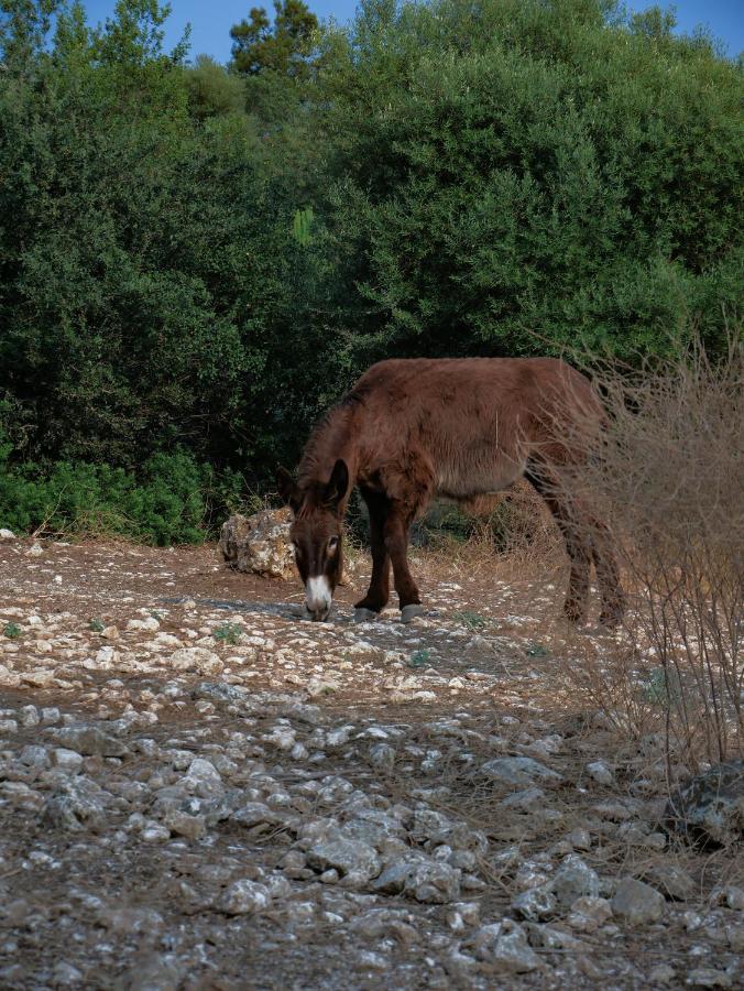Вилла Pantalica Ranch Agriturismo Siciliano Sortino Экстерьер фото