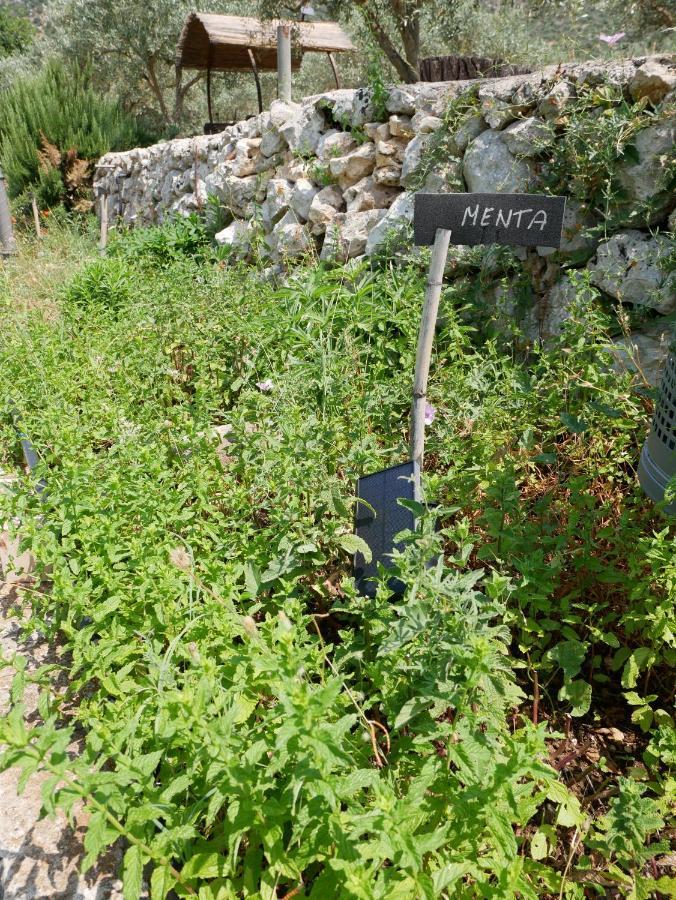 Вилла Pantalica Ranch Agriturismo Siciliano Sortino Экстерьер фото