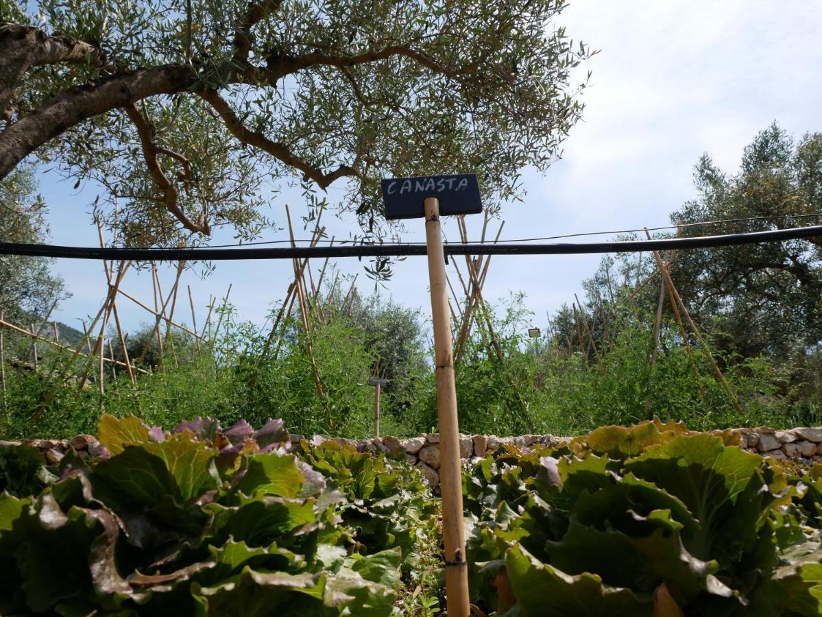 Вилла Pantalica Ranch Agriturismo Siciliano Sortino Экстерьер фото