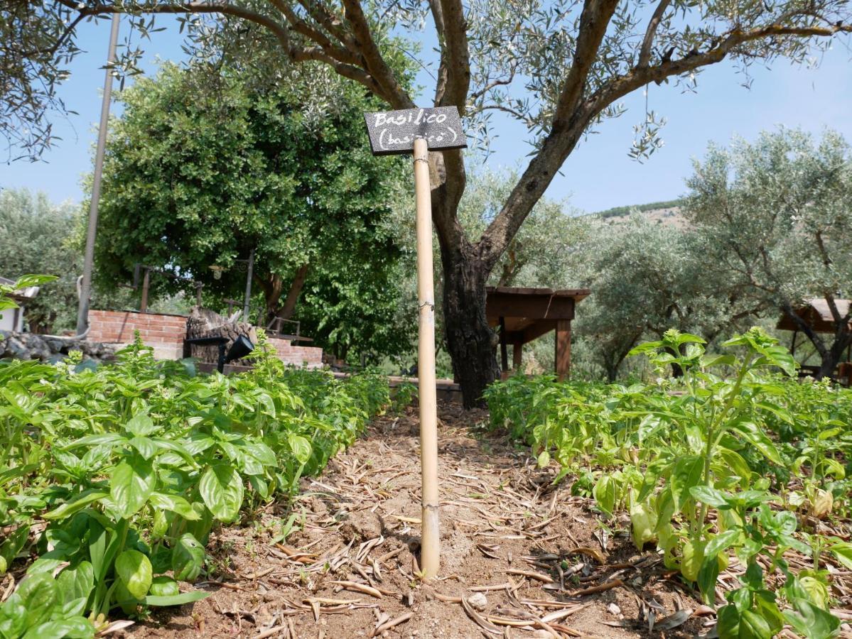 Вилла Pantalica Ranch Agriturismo Siciliano Sortino Экстерьер фото